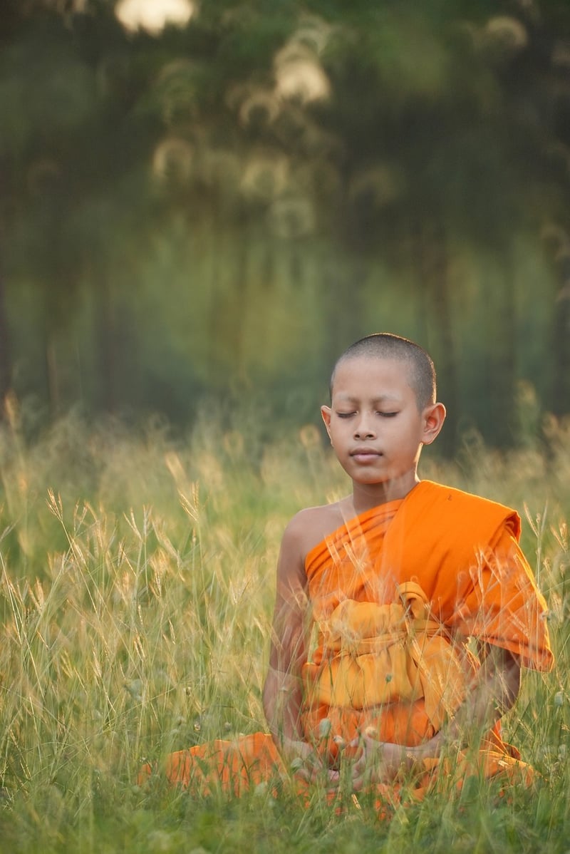 Meditation Classes
